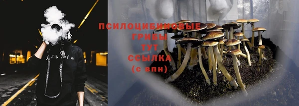 PSILOCYBIN Баксан