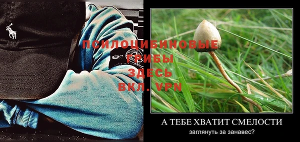 тгк Балабаново