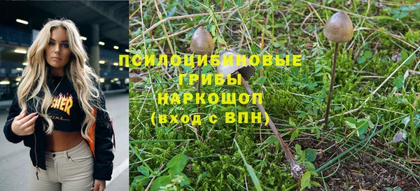 тгк Балабаново