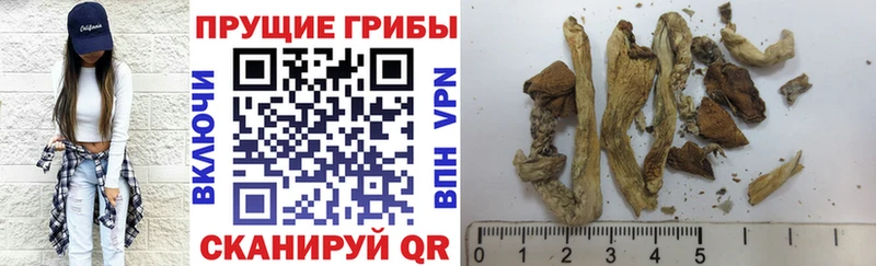 Галлюциногенные грибы мухоморы гидра ссылка Светогорск