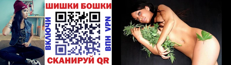 наркотики  Светогорск  Конопля OG Kush 